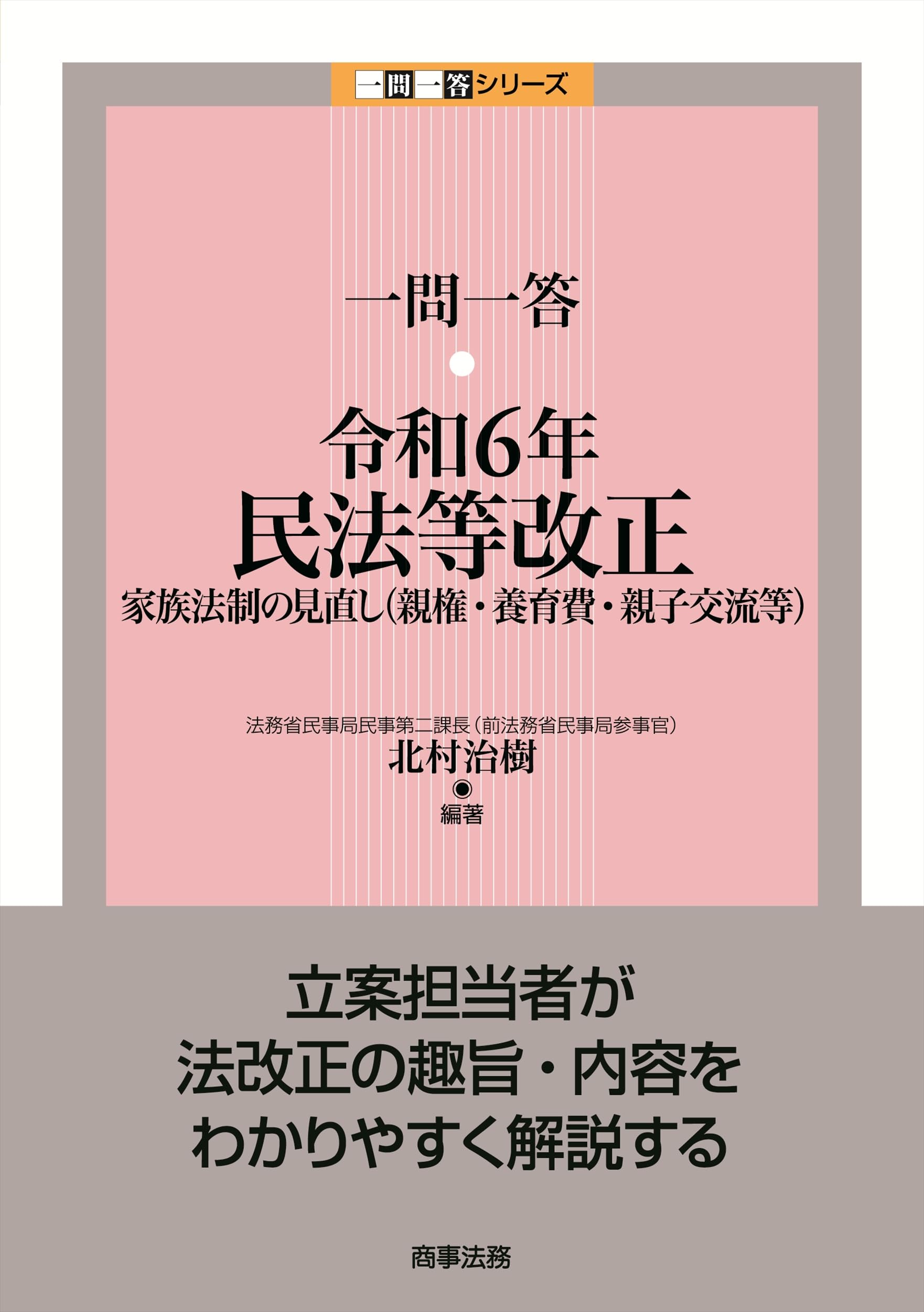 一問一答 令和6年民法等改正――家族法制の見直し（親権・養育費・親子